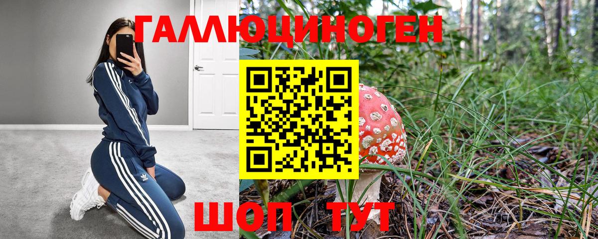 Гашиш  Долгопрудный  Канабис  Вход с VPN  МЕТАМФЕТАМИН  ГАШИШ  МЕФ   Cocaine  ТГК  Героин  Мефедрон 
